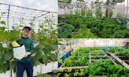 Chăm khu vườn xanh tốt trên sân thượng, chàng trai 9X hé lộ bí quyết không phải ai cũng biết
