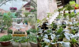 Bị trầm cảm, mẹ trẻ 'lén chồng' tự bê đất cải tạo sân thượng làm nơi thư giãn, thành quả 'đẹp như một giấc mơ'