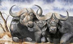 Tai ương đeo bám hai ngày cuối tuần (15 - 16/1), 3 con giáp này làm việc gì cũng gặp nhiều bất lợi, hãy cẩn trọng