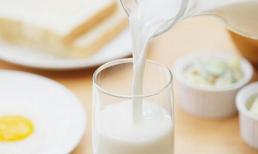 Uống sữa trước khi đi ngủ vào buổi tối có thể thúc đẩy chất lượng giấc ngủ, nhưng bạn cần chú ý một số điểm sau