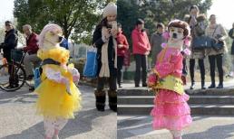 Người đàn ông xem chó nuôi hệt như người, mỗi ngày đều mặc quần áo xinh đẹp, dắt đi dạo biểu diễn thời trang