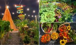 Mê hoa và rau, gái xinh cải tạo khu đất toàn cỏ rác, đá và bê tông thành mảnh vườn đẹp như mơ