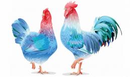 3 con giáp rất hợp tuổi kết hôn trong năm Nhâm Dần 2022, hạnh phúc đủ đầy, giàu có viên mãn