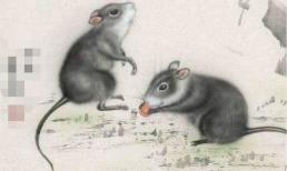 Từ tháng 2/2022, vận tài lộc tăng vùn vụt, vận may không cản nổi, 3 con giáp sẽ giàu sang phú quý