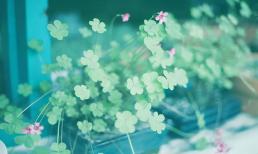 Bước vào độ tuổi 50, cho dù giàu hay nghèo thì cũng đừng liên lạc qua lại với những loại người sau vì nó chẳng có ý nghĩa gì cả