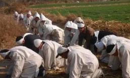 Sau khi một người chết, tại sao phải đốt quần áo để họ mang theo? Hóa ra là nên làm vậy sau khi đọc bài viết này