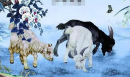 Từ ngày 22/1 đến mùng 1 Tết, 3 con giáp tiền bạc không thiếu, vận may bất ngờ liên tiếp ập đến, phát tài phát lộc không ngờ