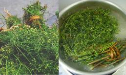 Tại sao nên tắm lá mùi già vào ngày 30 Tết và những điều nên làm trước giao thừa để gặp may mắn?