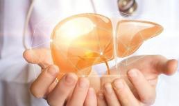 5 điều mà gan thích nhất, tốt nhất nên làm tất cả! Uống 4 loại nước này thường xuyên, gan khỏe mạnh, ít bệnh tật và dễ kéo dài tuổi thọ 