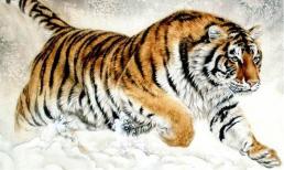 Sau khi kết hôn, những người phụ nữ thuộc con giáp này sẽ rất vất vả, phải lo toan cho cuộc sống của cả gia đình, bạn có trong số đó không?