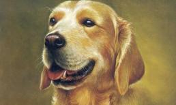 Tháng 2/2022: 3 con giáp vượng vận quý nhân, cung tài lộc rộng mở vô cùng giàu có