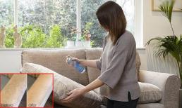 Bí kíp nhỏ làm sạch sofa với chi phí rẻ bèo đón Tết, kết quả sẽ khiến bạn bất ngờ
