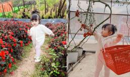 'Mẹ bỉm' Đông Nhi 'xả kho' bộ ảnh du lịch cực yêu của Winnie:  Tung tăng dạo bước vườn hoa, đến hái cà chua cũng vô cùng điệu nghệ