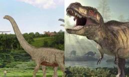 Tại sao khủng long lại có thể to lớn đến vài tấn, vài chục tấn như vậy? Còn các động vật trên bờ ngày nay lại không thể đạt tới mức độ như vậy?