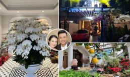 Biệt thự nhà vợ chồng Tuấn Hưng ngập tràn sắc hoa đón Tết
