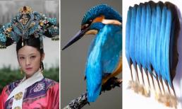 Sự thật nhuốm máu đằng sau vẻ đẹp xa hoa của những bộ trang sức quý giá của các phi tần nhà Thanh thời xưa