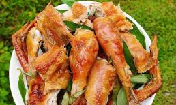 Chán gà luộc học ngay cách làm món gà nướng ngon nức mũi, ngọt mềm bằng nồi chiên không dầu