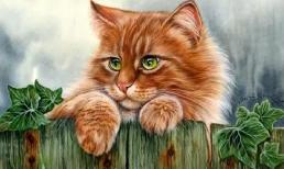 Nửa cuối tháng 2/2022: 3 con giáp được quý nhân ưu ái, làm việc gì cũng may mắn thuận lợi, chỉ cần cố gắng ắt đạt thành công