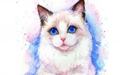 Cuối tuần này (12 - 13/2) top 3 con giáp hưởng trọn vận may, phát tài phát lộc, hốt vàng hốt bạc trong tầm tay, không có gì đáng lo lắng