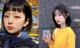 Con gái khoảng 20 tuổi cắt 6 kiểu tóc này là lập tức trở thành gái đẹp, nhất là kiểu thứ 4 thì quá ngọt ngào