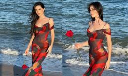 'Ma nữ đẹp nhất Thái Lan' Mai Davika tựa nữ thần khi mặc đầm xuyên thấu nội y