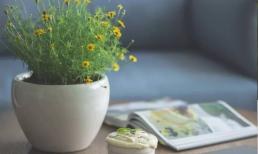 Khi đi thăm họ hàng trong dịp Tết Nguyên Đán, hai loại người thân sau đây tốt nhất không nên đến, kẻo thấy tủi thân