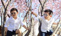 Loạt ảnh đáng yêu của con trai Đan Trường ra dáng soái ca nhí, dân tình xuýt xoa khen ngợi giống phiên bản của bố