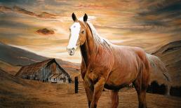 Hung vận rình rập, những con giáp xui xẻo cuối tuần này (19 - 20/2) làm gì cũng phải cẩn trọng