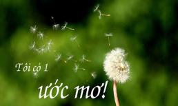 Bạn có ước mơ không? Đọc hết bài này bạn sẽ hiểu liệu có nên kiên trì với ước mơ của mình