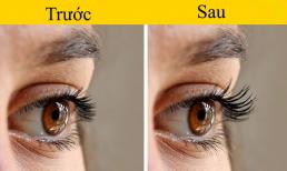 10 mẹo làm đẹp mà bạn có thể sử dụng hàng ngày để trông lộng lẫy và xinh đẹp hơn 