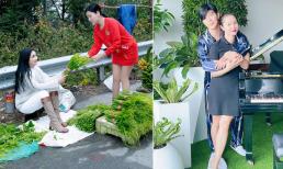 Sao Việt 25/2: Hoa hậu Giáng My diện 'cây đồ trắng' ngồi bán rau lề đường, sự thật là gì?; Ca sĩ Ngọc Anh 'ghét' Nathan Lee vì lười đi hát