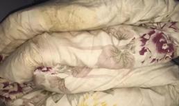 Không cần phơi nắng hay giặt giũ, chăn bông dù dày và bẩn đến đâu cũng sẽ sạch như mới trong vài phút