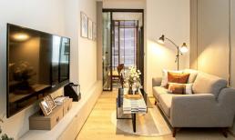 5 mẹo trang trí căn hộ nhỏ để trông rộng hơn: Một mẹo hay giúp tạo không gian hoàn hảo cho cả nơi làm việc và thư giãn