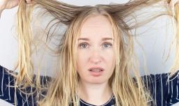 Tóc bị nhờn, bóng dầu đây là 5 điều bạn nên làm và không nên