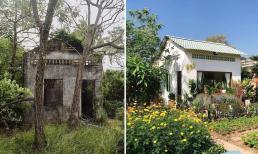 Mê mẩn trước ngôi nhà một tầng cực đẹp được cải tạo từ nhà cũ toàn cỏ xung quanh 