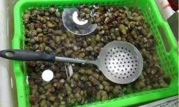 Làm sao để chọn được những con ốc, con trai ngon nhất ngoài chợ? 
