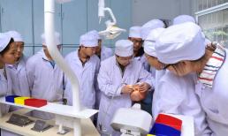 Những người hướng nội chọn ba chuyên ngành này, công việc tương đối ổn định, có thể phụ huynh muốn tìm hiểu về các ngành học này