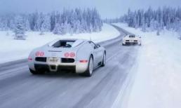 Xe màu gì dễ gặp tai nạn nhất? Khoa học đã khẳng định, lần sau đừng bao giờ mua màu này nữa