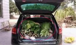 Cốp xe dù to cỡ nào cũng phải nhớ không bạ gì cất nấy, nhiều chủ xe không quan tâm, xe 'bị phế' trước vài năm