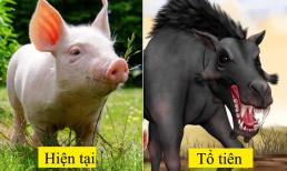 9 loài động vật hiện đại trông khác hẳn tổ tiên của chúng