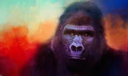 Đúng Rằm tháng 2 âm lịch: 3 con giáp đứng top đầu giàu sang, được thần tài cưng chiều hết mực, làm 1 lời 10