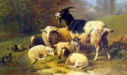 Con giáp xui xẻo cuối tuần (12/3 - 13/3), bị thần may mắn quay lưng, đủ thứ xui xẻo đổ xuống đầu