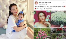 Thực hư chuyện Bảo Thanh vừa ở nhà nuôi con vừa bán hoa hồng