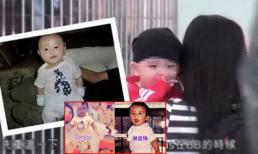 Lộ diện con trai thứ 3 của Trương Bá Chi, netizen liền phán giống hệt Tạ Đình Phong như 'đúc cùng khuôn'?