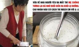 Về nhà ra mắt, mẹ chồng tương lai đã thử thách bằng cách nhờ 'đuổi kiến ra khỏi hũ đường', cô gái lên mạng cầu cứu 