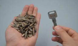 Không dùng tay bóc hạt hướng dương? Chỉ cần một chiếc chìa khóa, bạn có thể bóc một đĩa lớn trong vài phút, sạch sẽ, hợp vệ sinh mà không làm tổn thương tay 