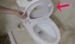 Bạn có cần đóng nắp bồn cầu khi không sử dụng? Khuyến cáo mọi người nên làm việc này, vừa sạch và khử trùng