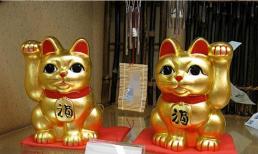 Tay phải và tay trái của mèo may mắn có tác dụng khác nhau!? Đặc biệt nếu bạn đang kinh doanh thì phải đặt đúng sẽ được đảm bảo nhiều tiền, làm ăn phát đạt!