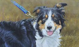 Cuối tuần này (19-20/3), top 3 con giáp được Thần Tài nâng đỡ, tài vận hanh thông, tài lộc thăng tiến, viên mãn tình duyên