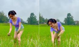 Bà Tưng chia sẻ clip đi dặm lúa, dân tình nín thở khi xem vì sợ vòng một trực trào ra ngoài